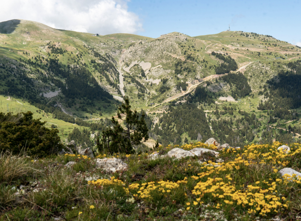 RUTA CIRCULAR PANORÁMICA EN EL PUIGLLANÇADA