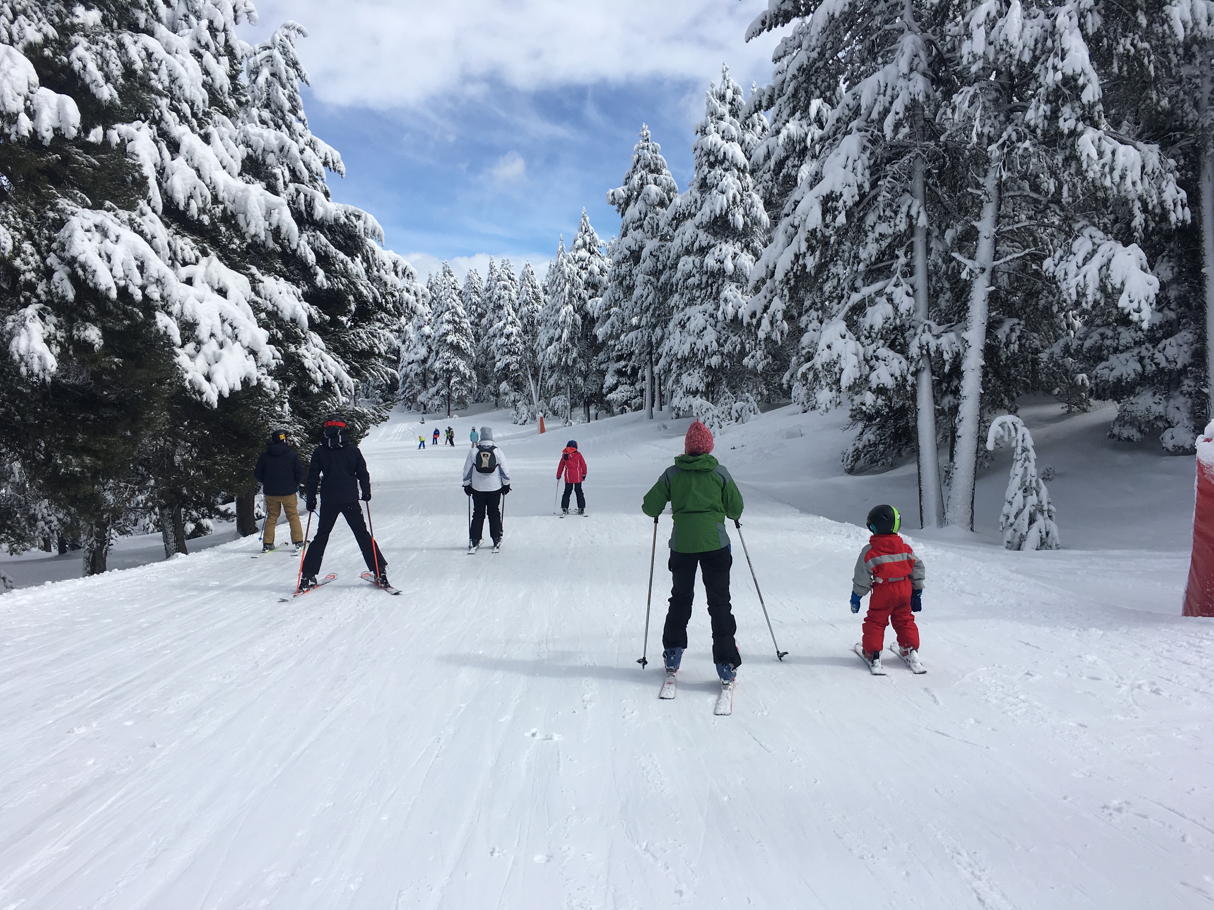 Forfait Media Temporada La Molina